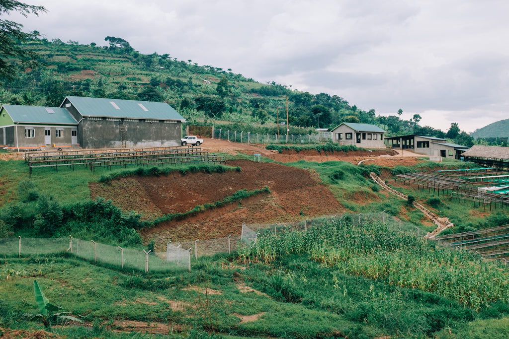 Origin Deep Dive: Uganda