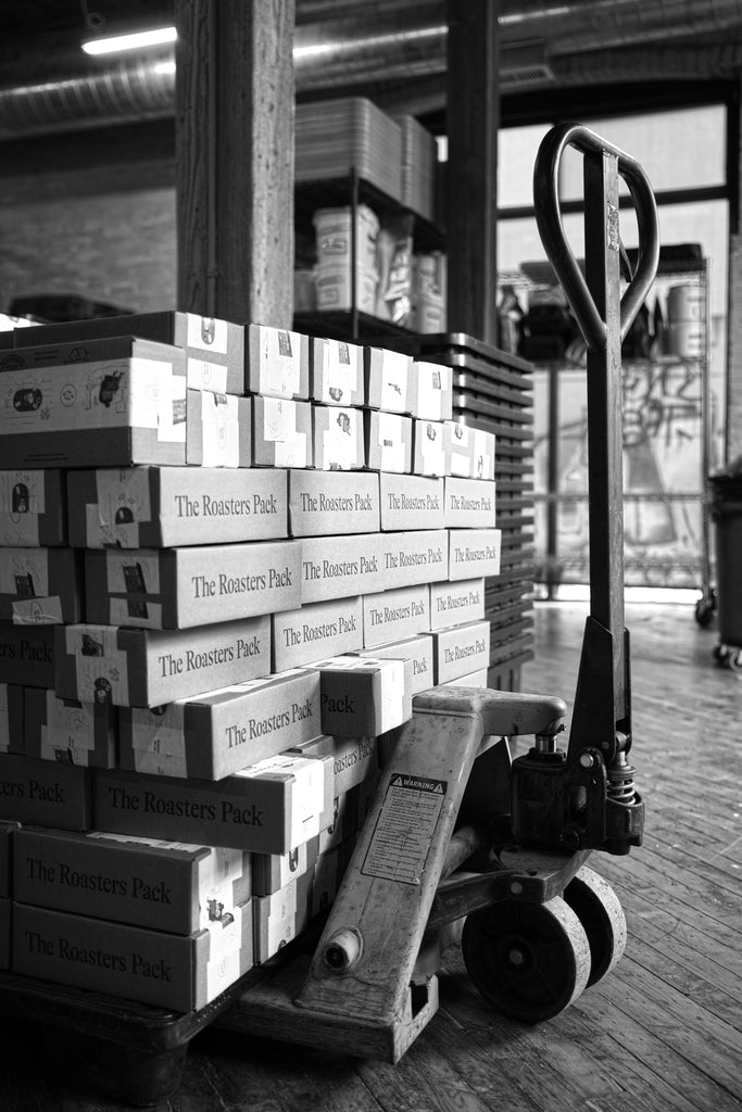 Issue #10 Brew Guides