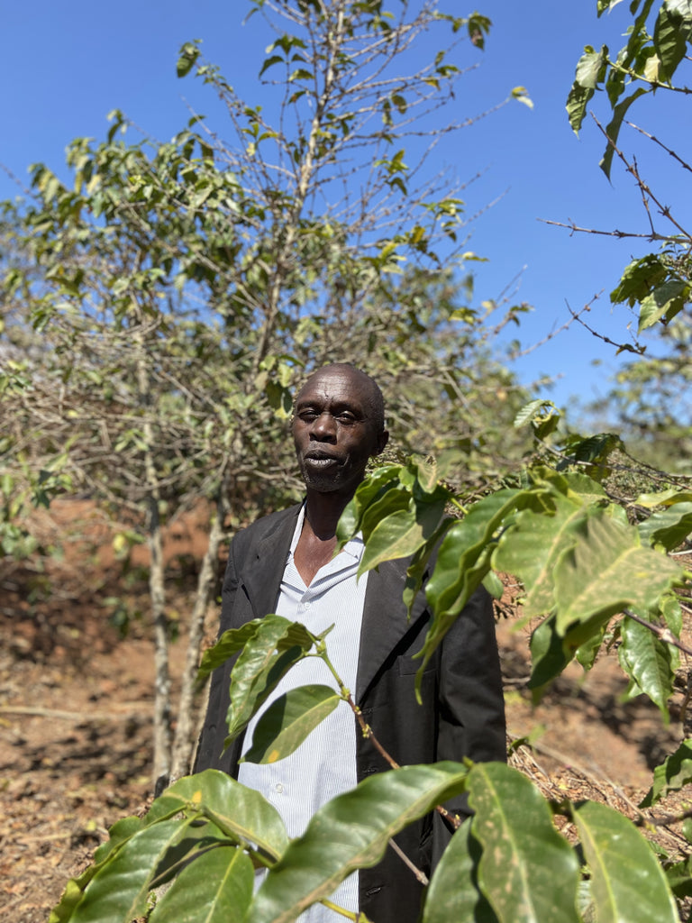 Producer Deep Dive - Rwanda