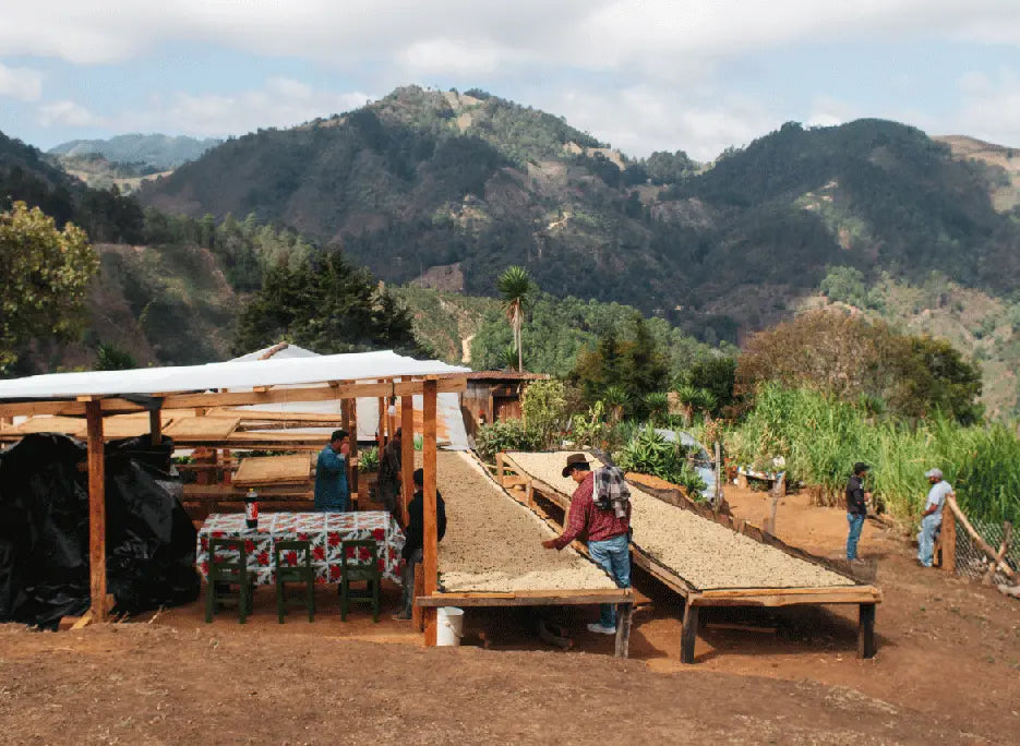 Mataquescuintla and Semilla: An Update