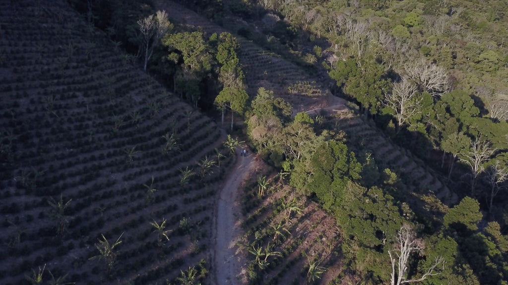 Origin Deep Dive: Costa Rica