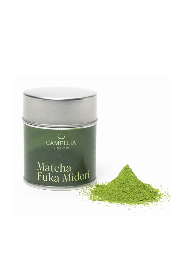 Camellia Sinensis  - Matcha Fuka Midori