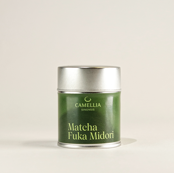 Camellia Sinensis  - Matcha Fuka Midori
