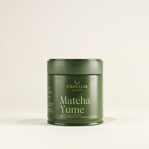 Camellia Sinensis  - Matcha Yume