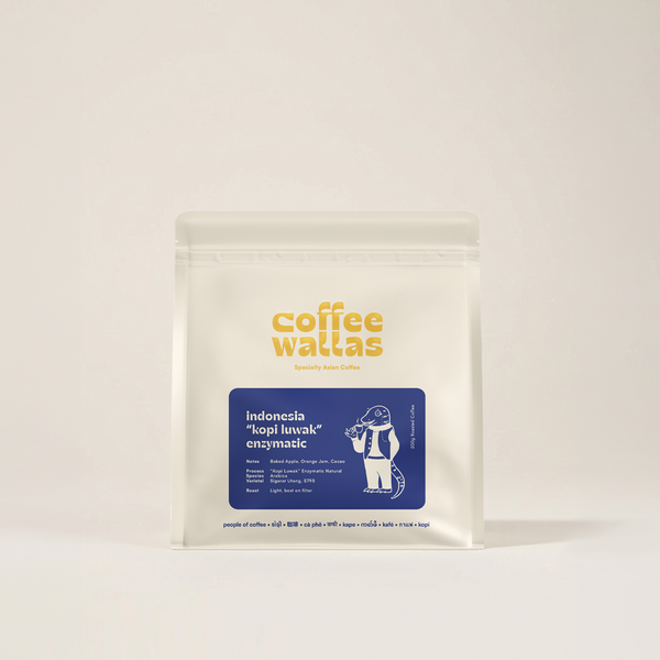 Indonesia Rani Mayasari Enzymatic Kopi Luwak – Coffee Wallas (Toronto, Ontario)