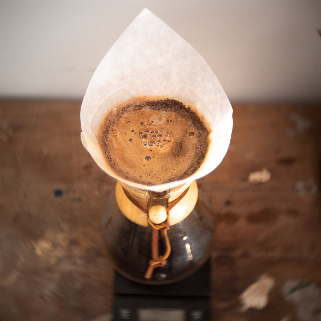 Chemex Classic 6 Cup CoffeeMaker - The Roasters Pack - Coffee Gear